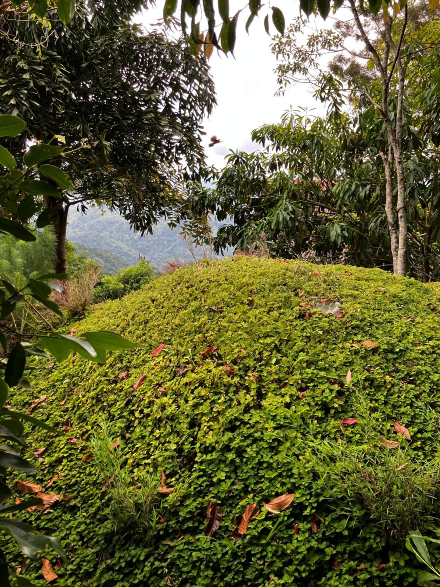 The Cloud Resort Kadugannawa 外观 照片